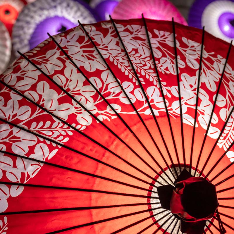 和傘 傘蛍 画像1