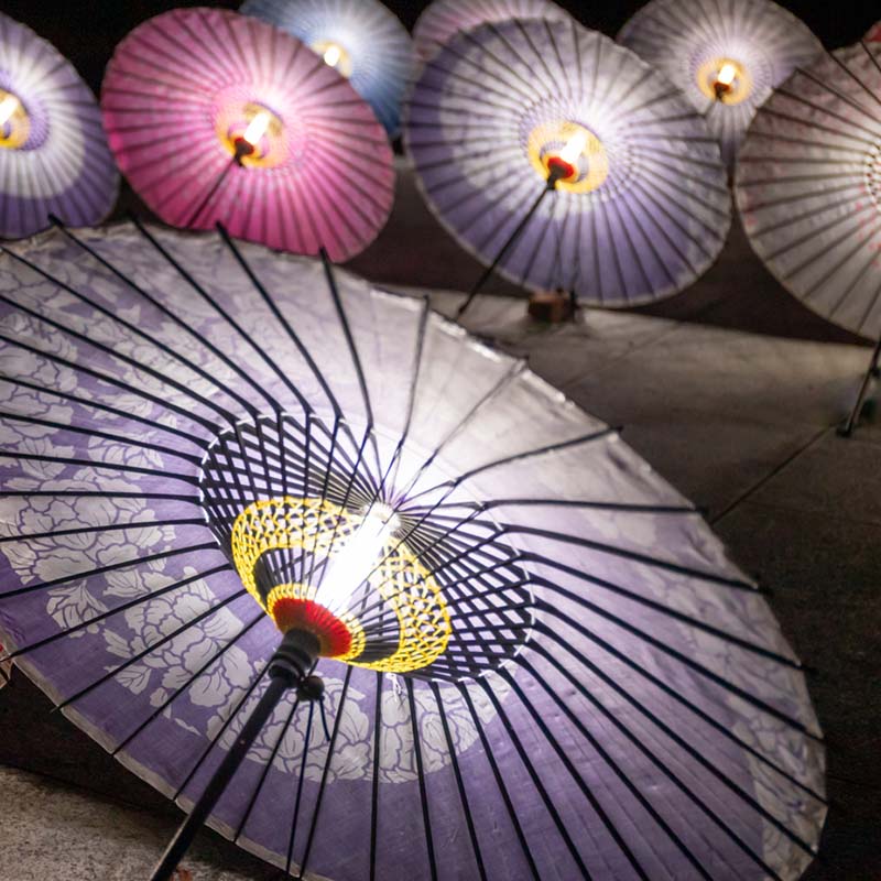 和傘 傘蛍 画像3