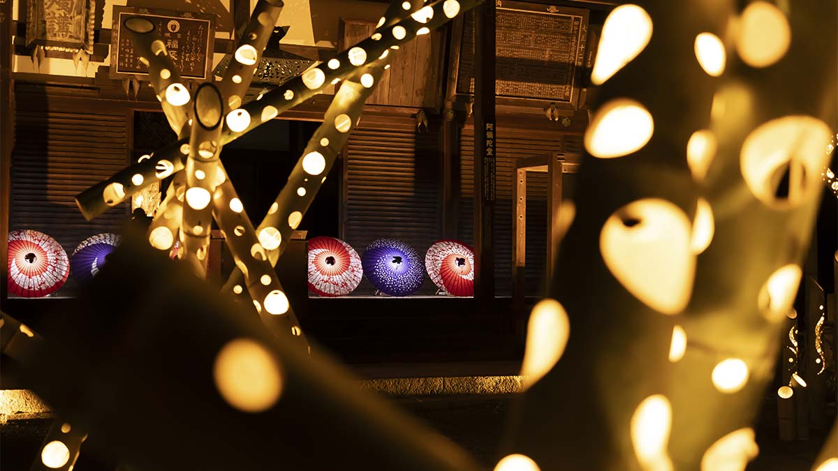 和傘 傘蛍 画像3