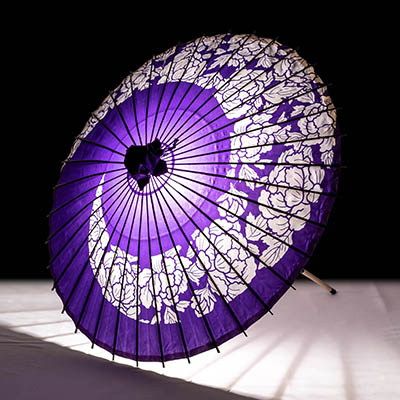 牡丹渦 紫 画像2