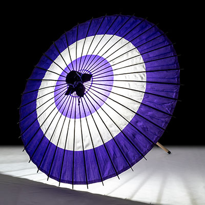 蛇の目 紫 画像2